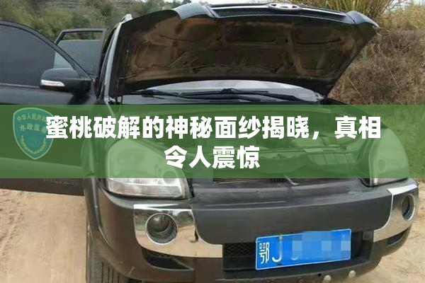 蜜桃破解的神秘面纱揭晓，真相令人震惊