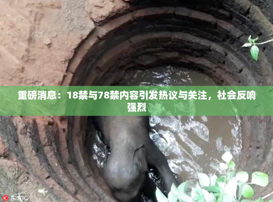 重磅消息：18禁与78禁内容引发热议与关注，社会反响强烈