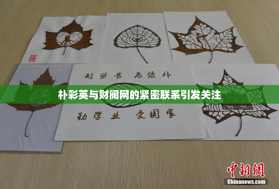 朴彩英与财阀网的紧密联系引发关注