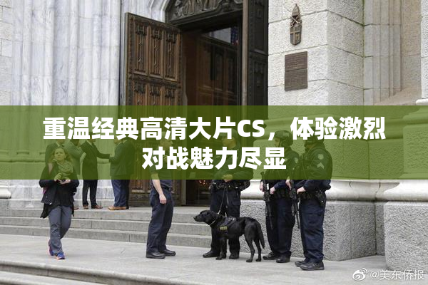重温经典高清大片CS，体验激烈对战魅力尽显