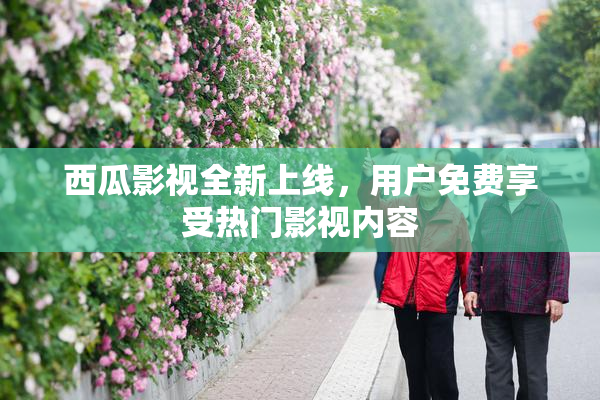 西瓜影视全新上线，用户免费享受热门影视内容