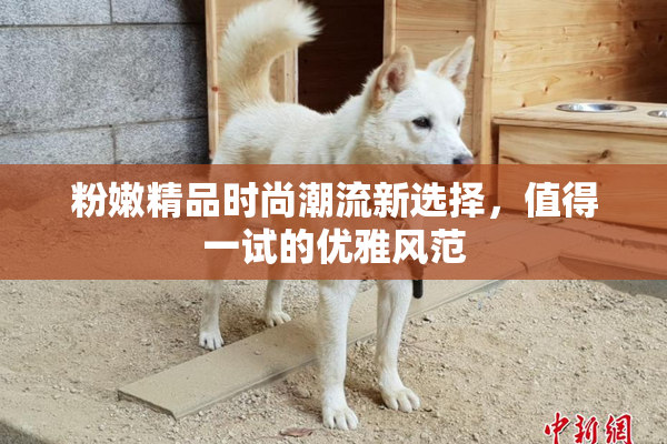 粉嫩精品时尚潮流新选择，值得一试的优雅风范