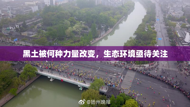 黑土被何种力量改变，生态环境亟待关注