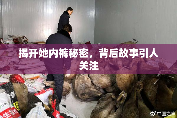 揭开她内裤秘密，背后故事引人关注