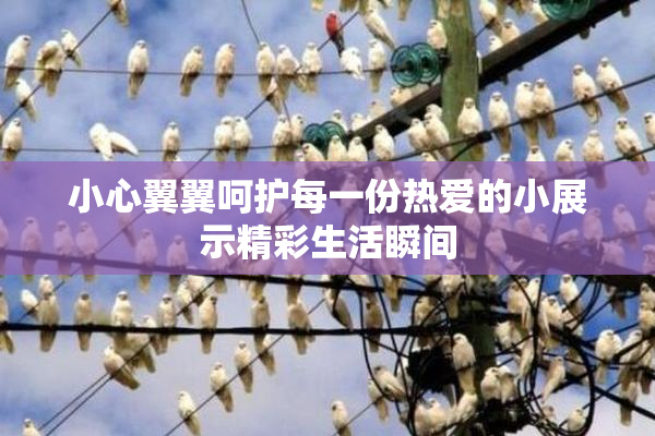 小心翼翼呵护每一份热爱的小展示精彩生活瞬间