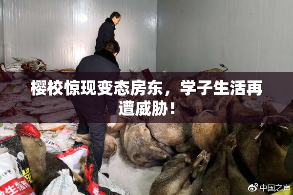 樱校惊现变态房东，学子生活再遭威胁！