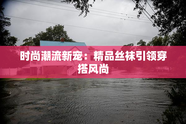 时尚潮流新宠：精品丝袜引领穿搭风尚