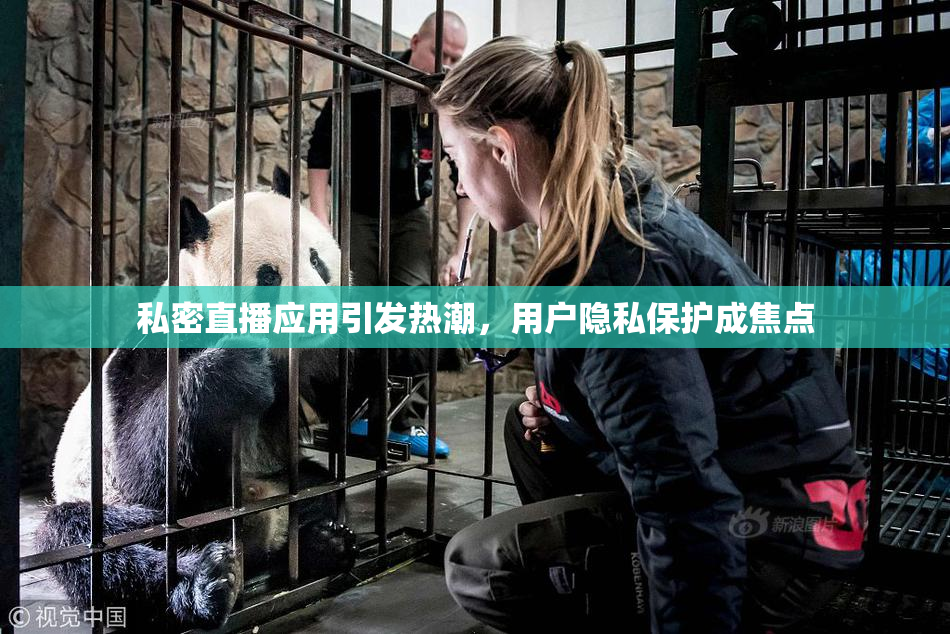 私密直播应用引发热潮，用户隐私保护成焦点