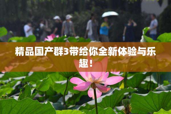 精品国产群3带给你全新体验与乐趣！