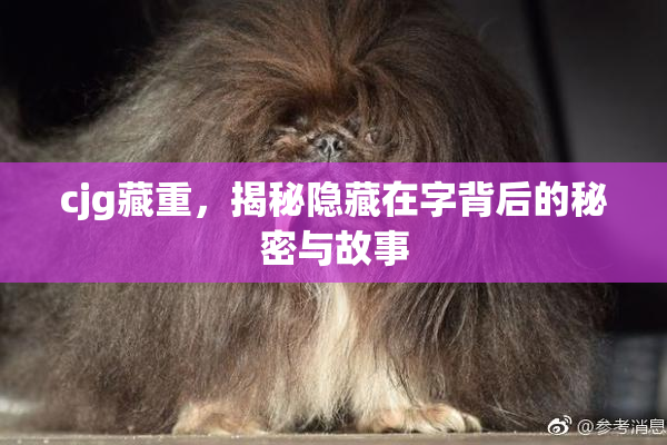 cjg藏重，揭秘隐藏在字背后的秘密与故事