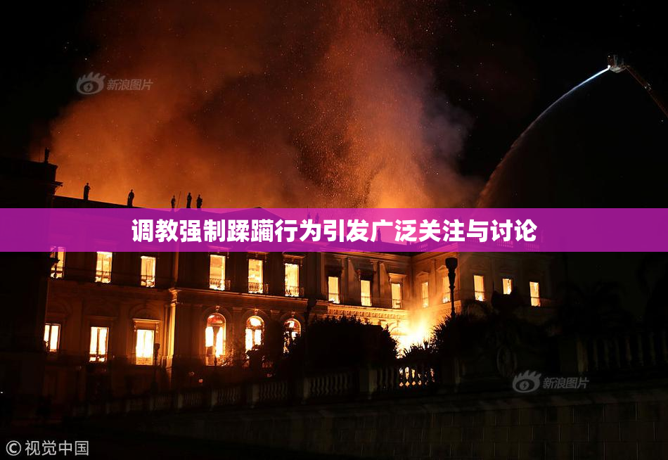 调教强制蹂躏行为引发广泛关注与讨论