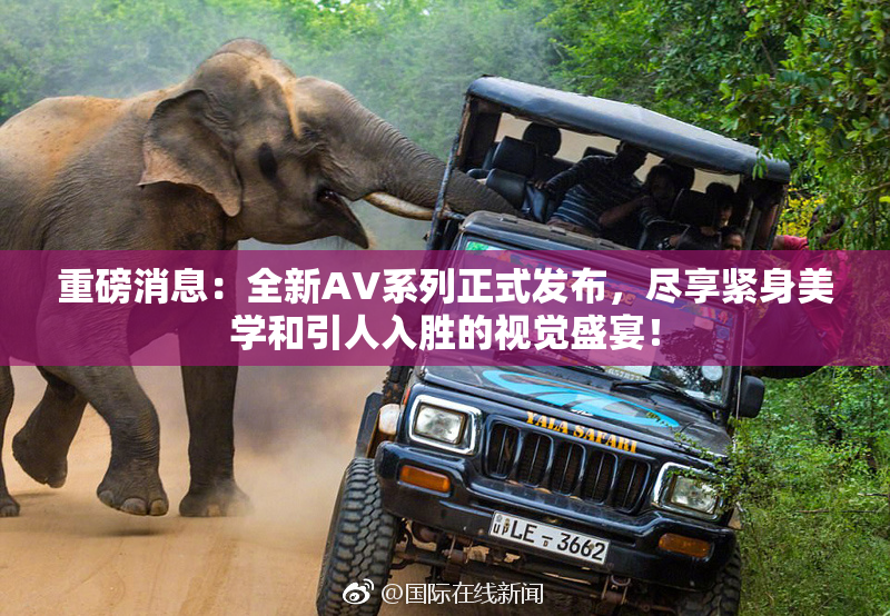 重磅消息：全新AV系列正式发布，尽享紧身美学和引人入胜的视觉盛宴！