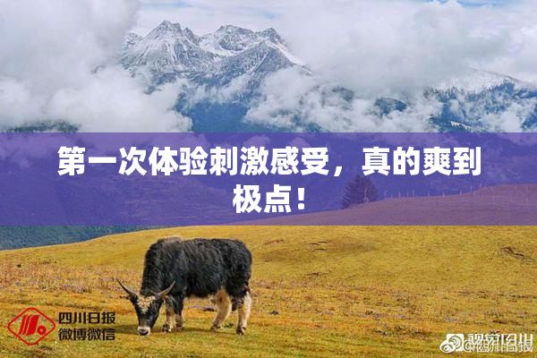 第一次体验刺激感受，真的爽到极点！