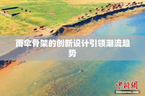 雨伞骨架的创新设计引领潮流趋势