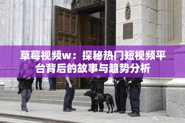 草莓视频w：探秘热门短视频平台背后的故事与趋势分析