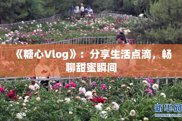 《糖心Vlog》：分享生活点滴，畅聊甜蜜瞬间