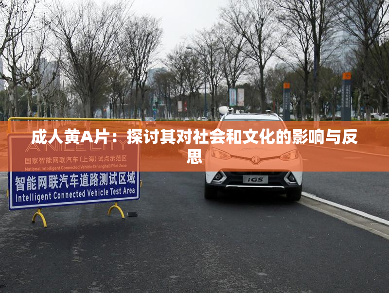 成人黄A片：探讨其对社会和文化的影响与反思