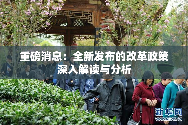 重磅消息：全新发布的改革政策深入解读与分析