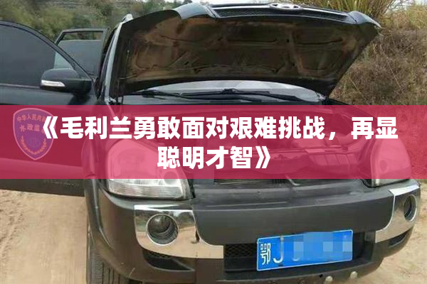 《毛利兰勇敢面对艰难挑战，再显聪明才智》