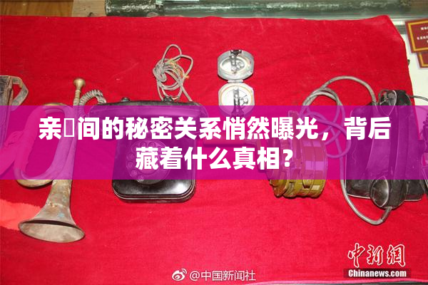 亲妺间的秘密关系悄然曝光，背后藏着什么真相？