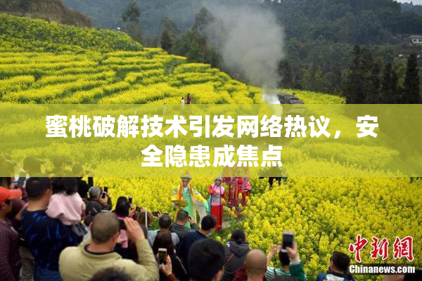 蜜桃破解技术引发网络热议，安全隐患成焦点