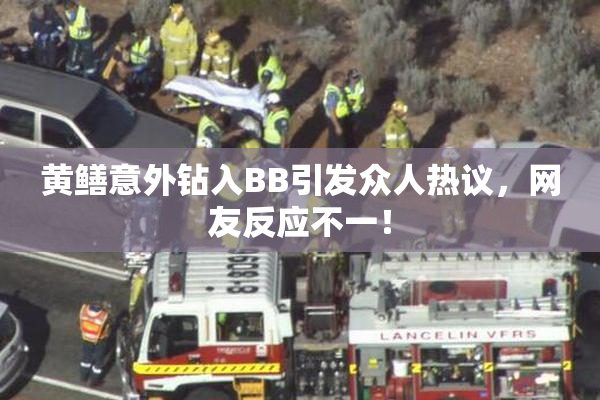 黄鳝意外钻入BB引发众人热议，网友反应不一！