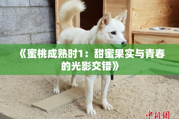 《蜜桃成熟时1：甜蜜果实与青春的光影交错》