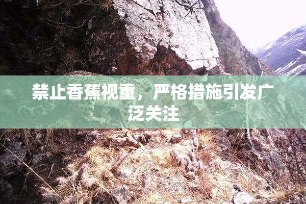 禁止香蕉视重，严格措施引发广泛关注
