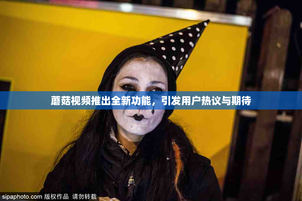 蘑菇视频推出全新功能，引发用户热议与期待