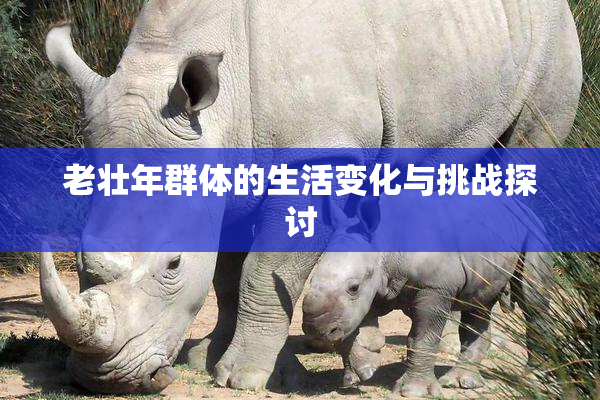 老壮年群体的生活变化与挑战探讨