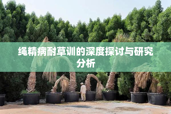 绳精病耐草训的深度探讨与研究分析