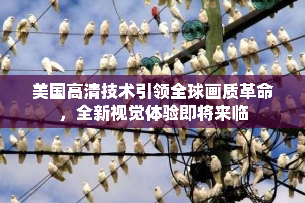 美国高清技术引领全球画质革命，全新视觉体验即将来临