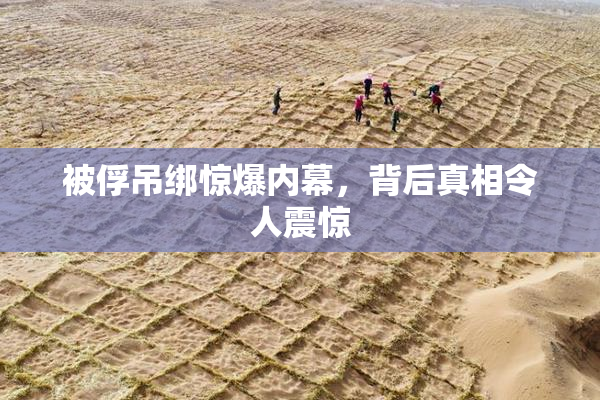 被俘吊绑惊爆内幕，背后真相令人震惊