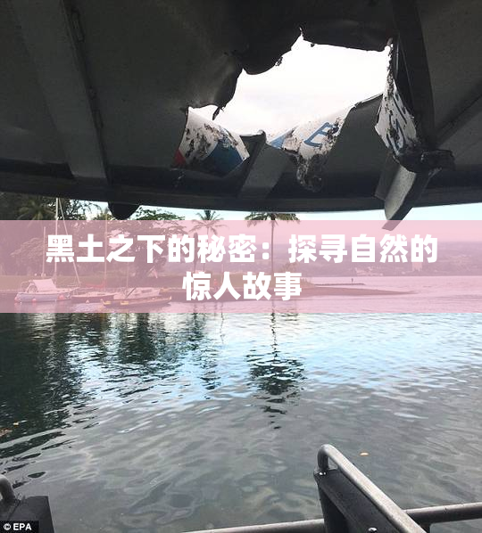 黑土之下的秘密：探寻自然的惊人故事