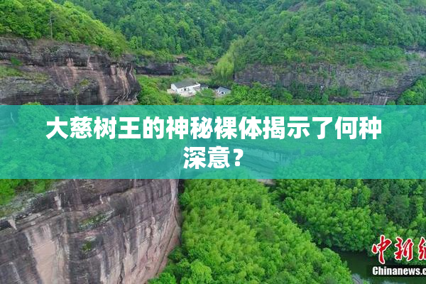 大慈树王的神秘裸体揭示了何种深意？