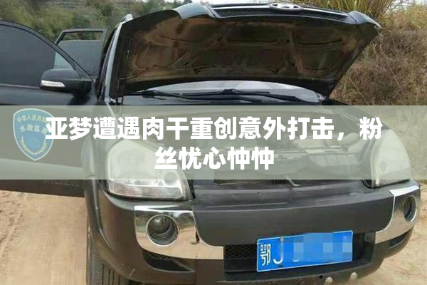 亚梦遭遇肉干重创意外打击，粉丝忧心忡忡