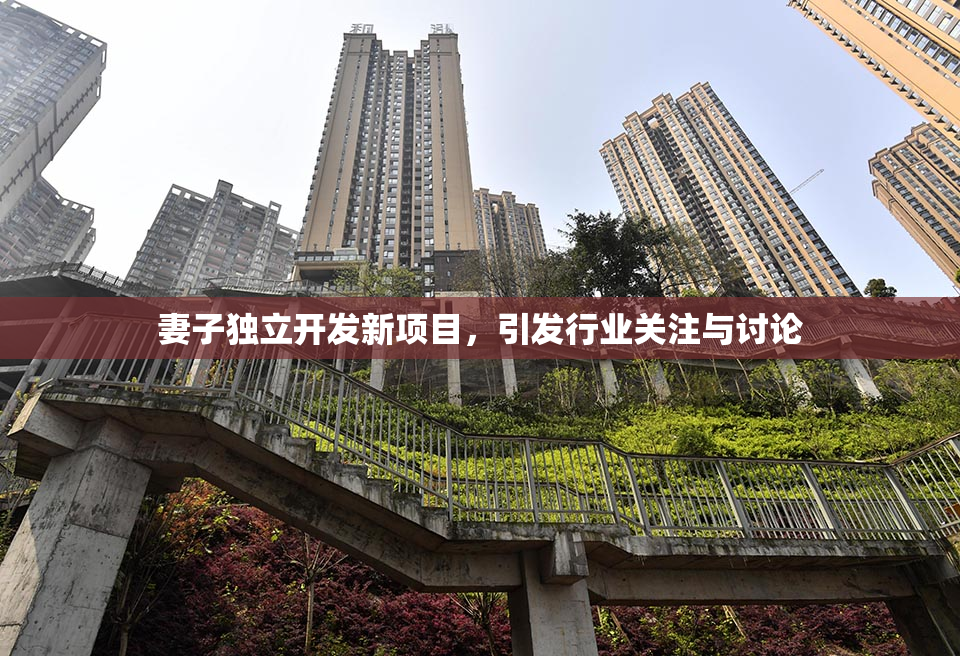 妻子独立开发新项目，引发行业关注与讨论