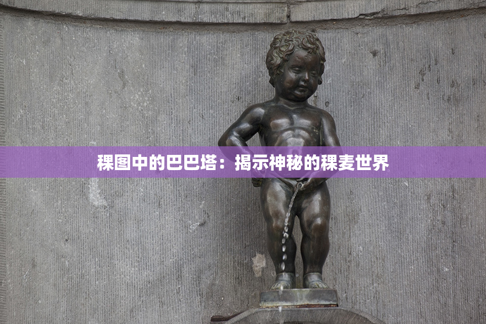 稞图中的巴巴塔：揭示神秘的稞麦世界