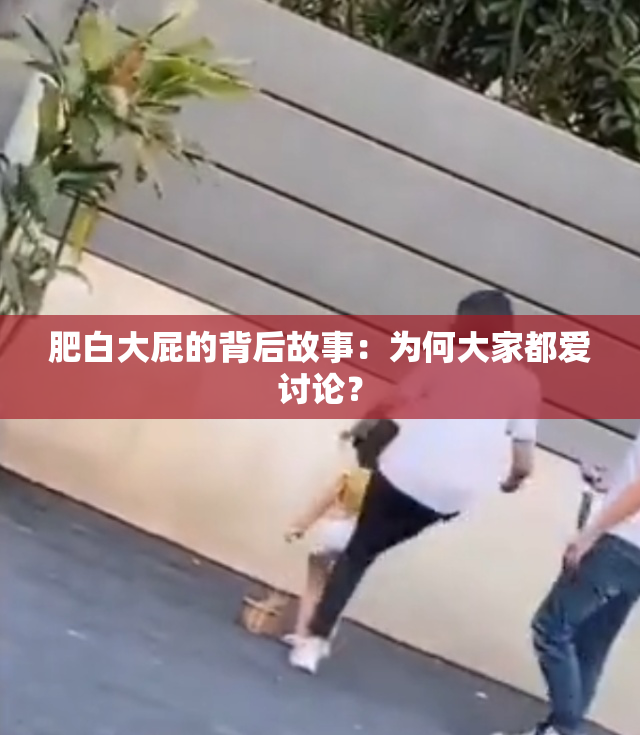 肥白大屁的背后故事：为何大家都爱讨论？