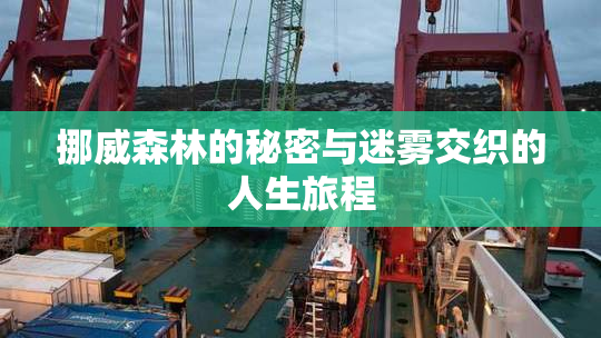 挪威森林的秘密与迷雾交织的人生旅程