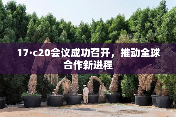 17·c20会议成功召开，推动全球合作新进程