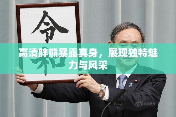 高清胖熊暴露真身，展现独特魅力与风采