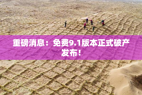 重磅消息：免费9.1版本正式破产发布！
