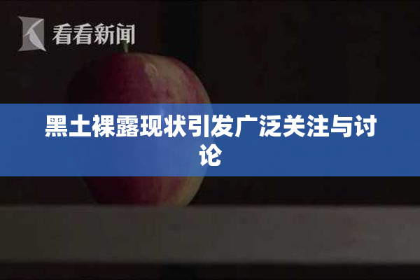 黑土裸露现状引发广泛关注与讨论