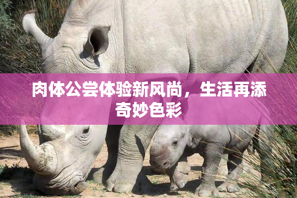 肉体公尝体验新风尚，生活再添奇妙色彩
