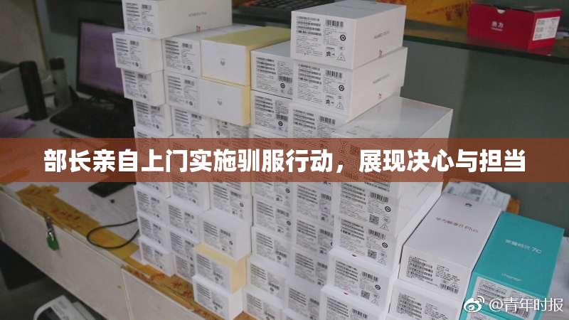 部长亲自上门实施驯服行动，展现决心与担当