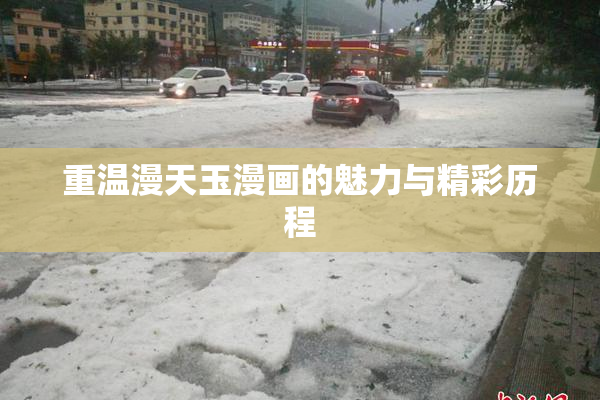 重温漫天玉漫画的魅力与精彩历程