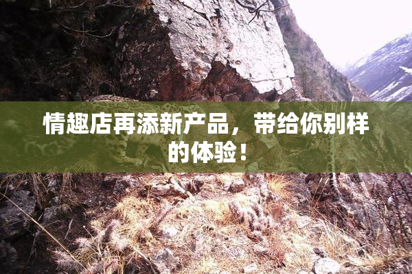 情趣店再添新产品，带给你别样的体验！