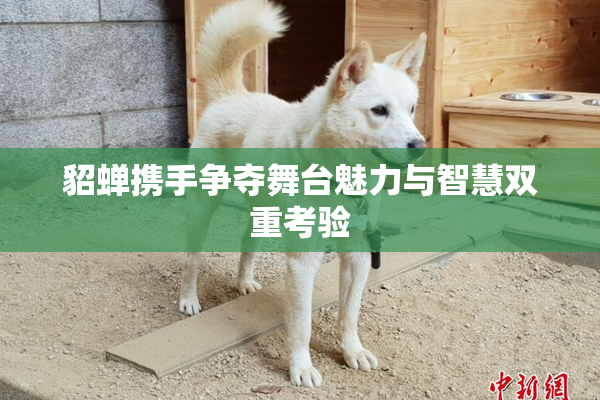 貂蝉携手争夺舞台魅力与智慧双重考验