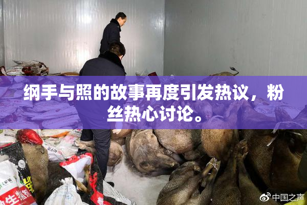 纲手与照的故事再度引发热议，粉丝热心讨论。